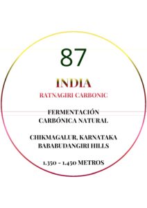 Café de especialidad India ratnagiri carbonic - Imagen 4