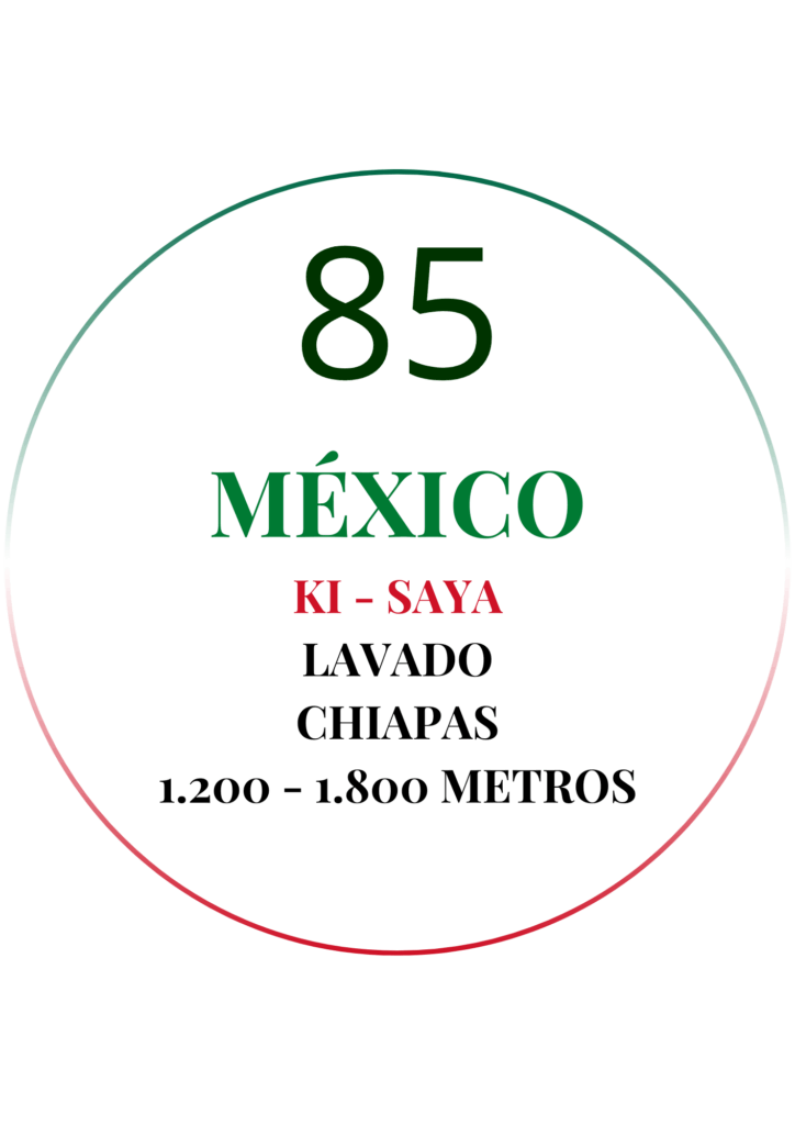 Circulo café de especialidad México Ki-saya