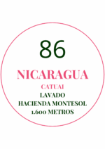Circulo café de especialidad Nicaragua catuai